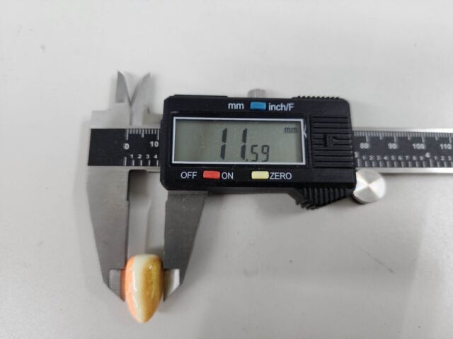 24 Pompano Bullet Floats Whiting fishing floats 20 mm glow and sand flea