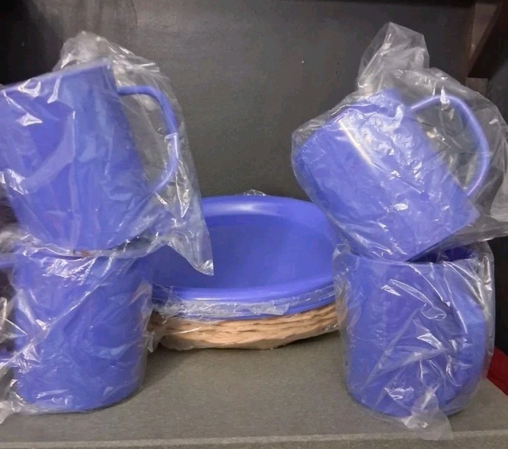 Picnic Setting For 4-4 Plastic  Plates, Holders,& Cups