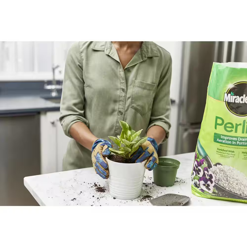 8 Qt. Perlite Soil