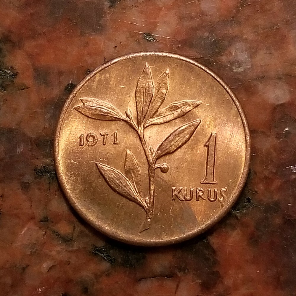 1971 TURKEY 1 KURUS COIN - #A5959