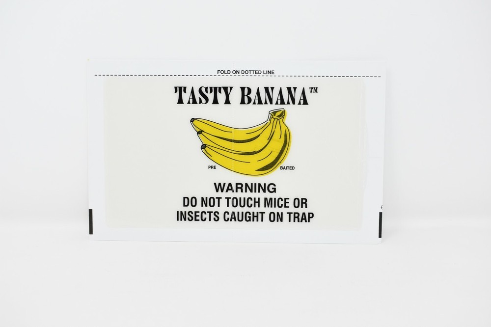 Catchmaster Tasty Banana Mouse Glue Board 72TB 36 Pack