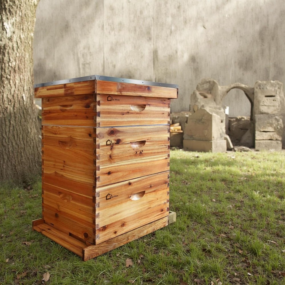 10-Frame Complete Beehive Frame Kit Wax Coated w/ 2 Deep Box 1 Medium Bee Box