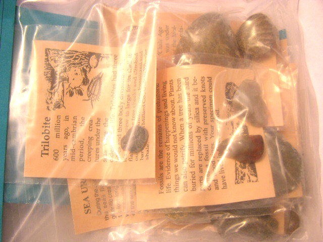 Fossil learning set w/10 different fossils info & geological time card plus