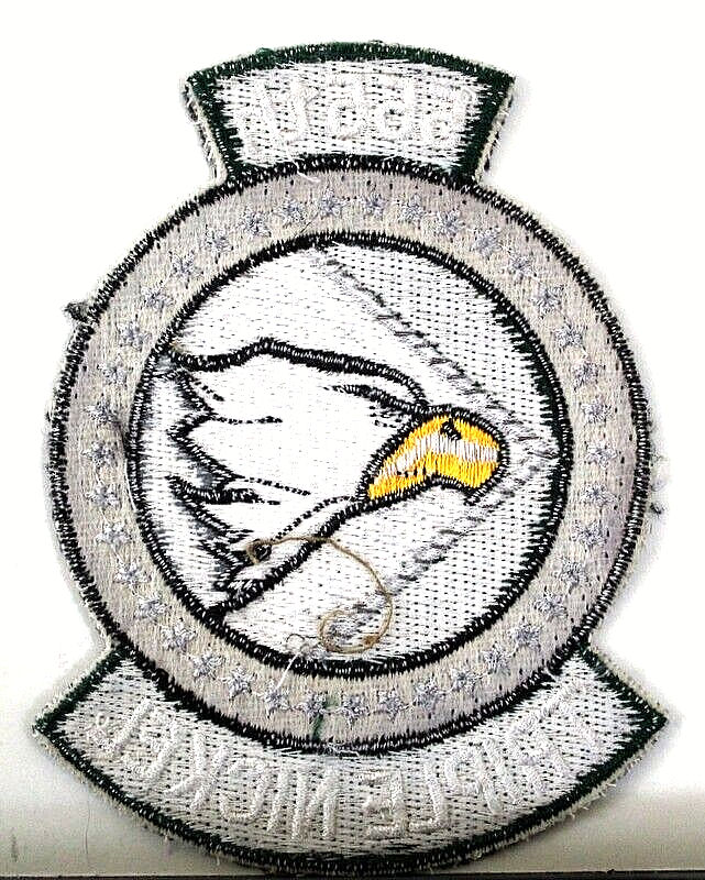 USAF 555th Fighter Squadron Full Colored Insignia Badge Emblem Crest Patch V 2