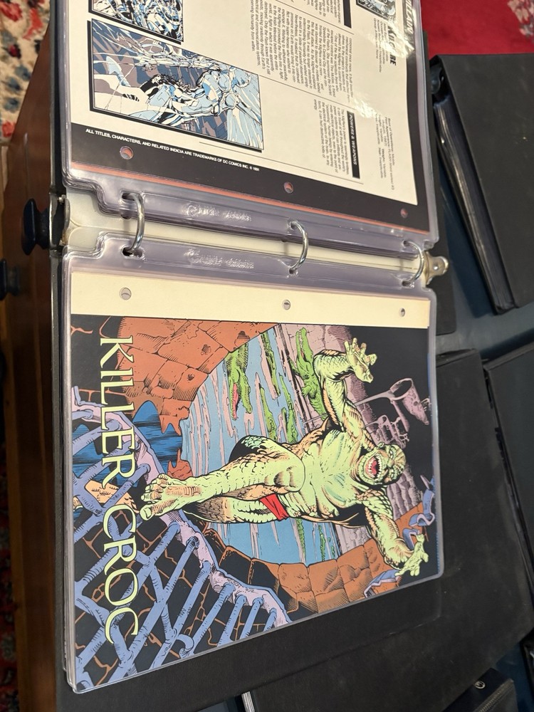 Comic Book Bio Binder