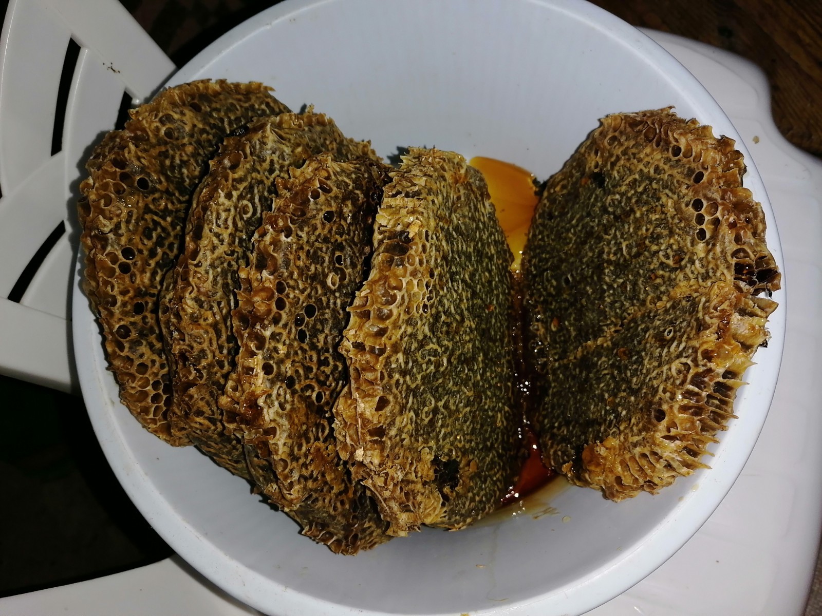 Moroccan natural bee honey