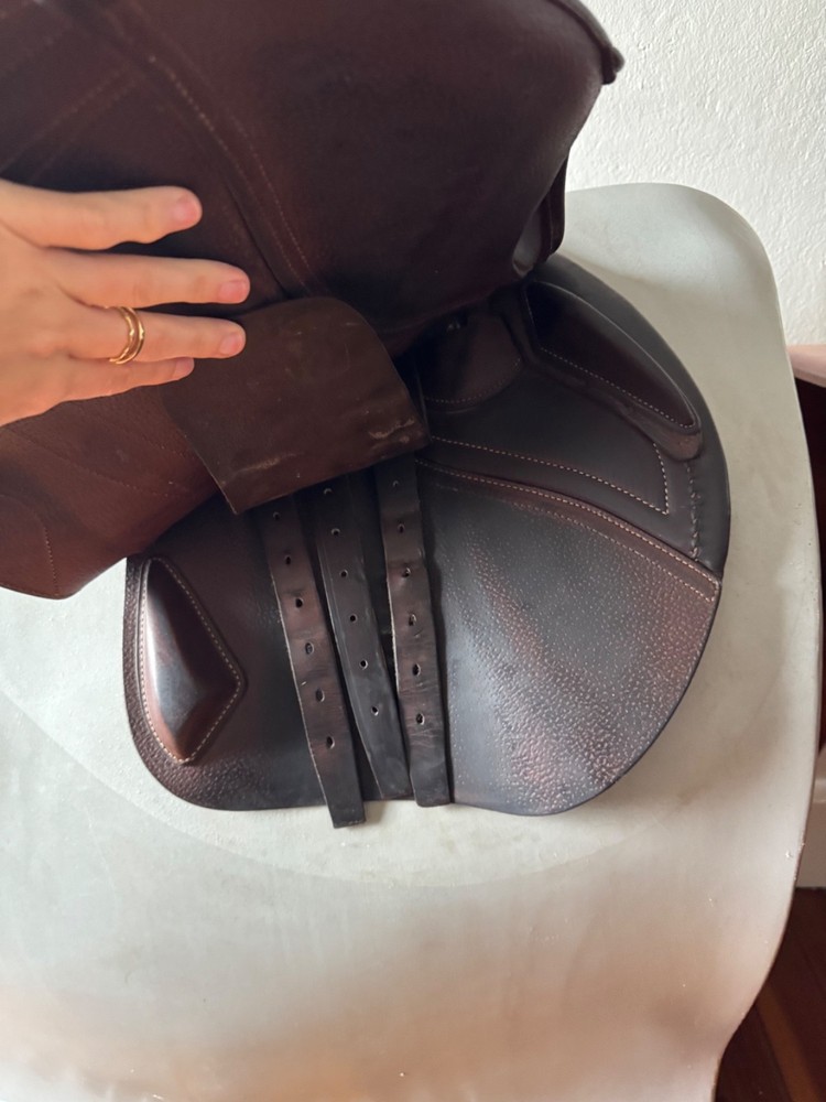 18" CWD SE02 Saddle - 2019 - 4C - Full Buffalo - PRO Panels!