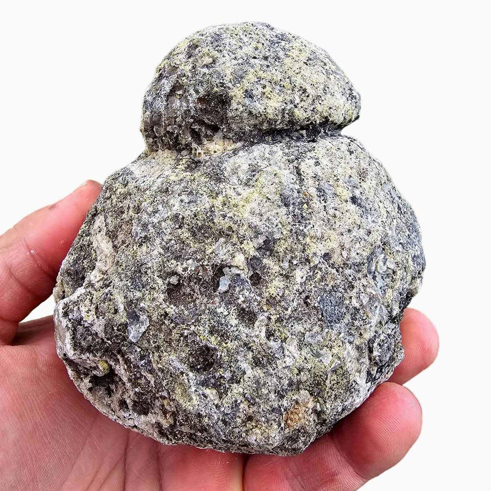 Random Pull Solid Coconut Geode Rough Solid Thunder Eggs