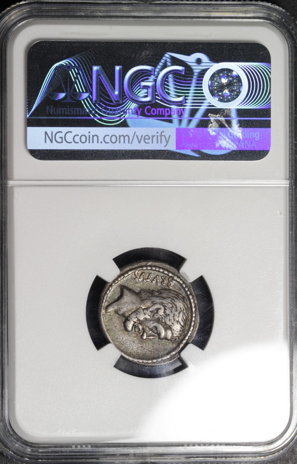 Brutus Denarius NGC Ch F Ancient Roman Republic Silver Coin 42BC Toned