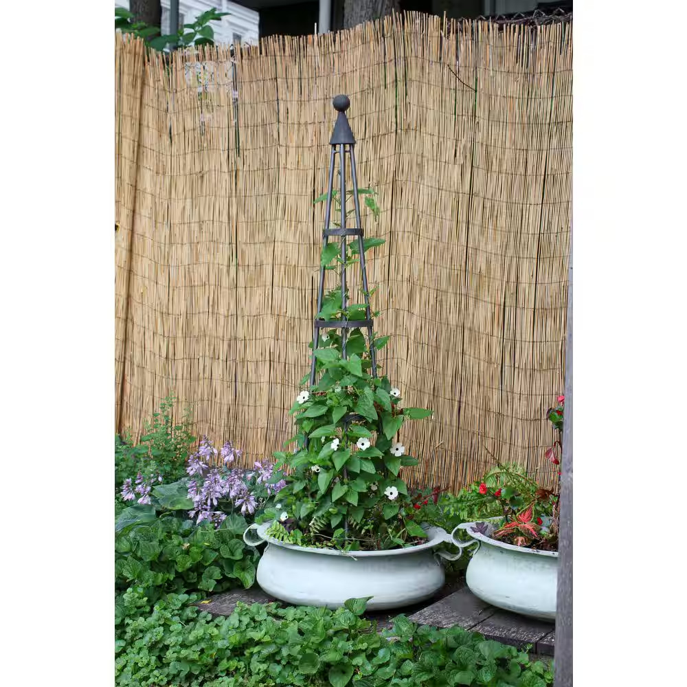 Obelisk Garden Trellis, 60 In. Tall, Graphite Powder Coat Finish