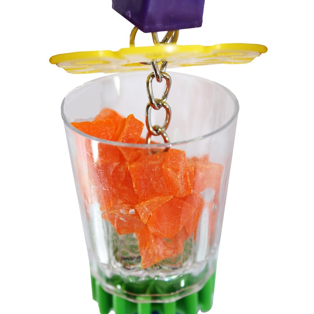 Cage Enhancement Set (Premium) - Interactive Climbing Foraging Accessory