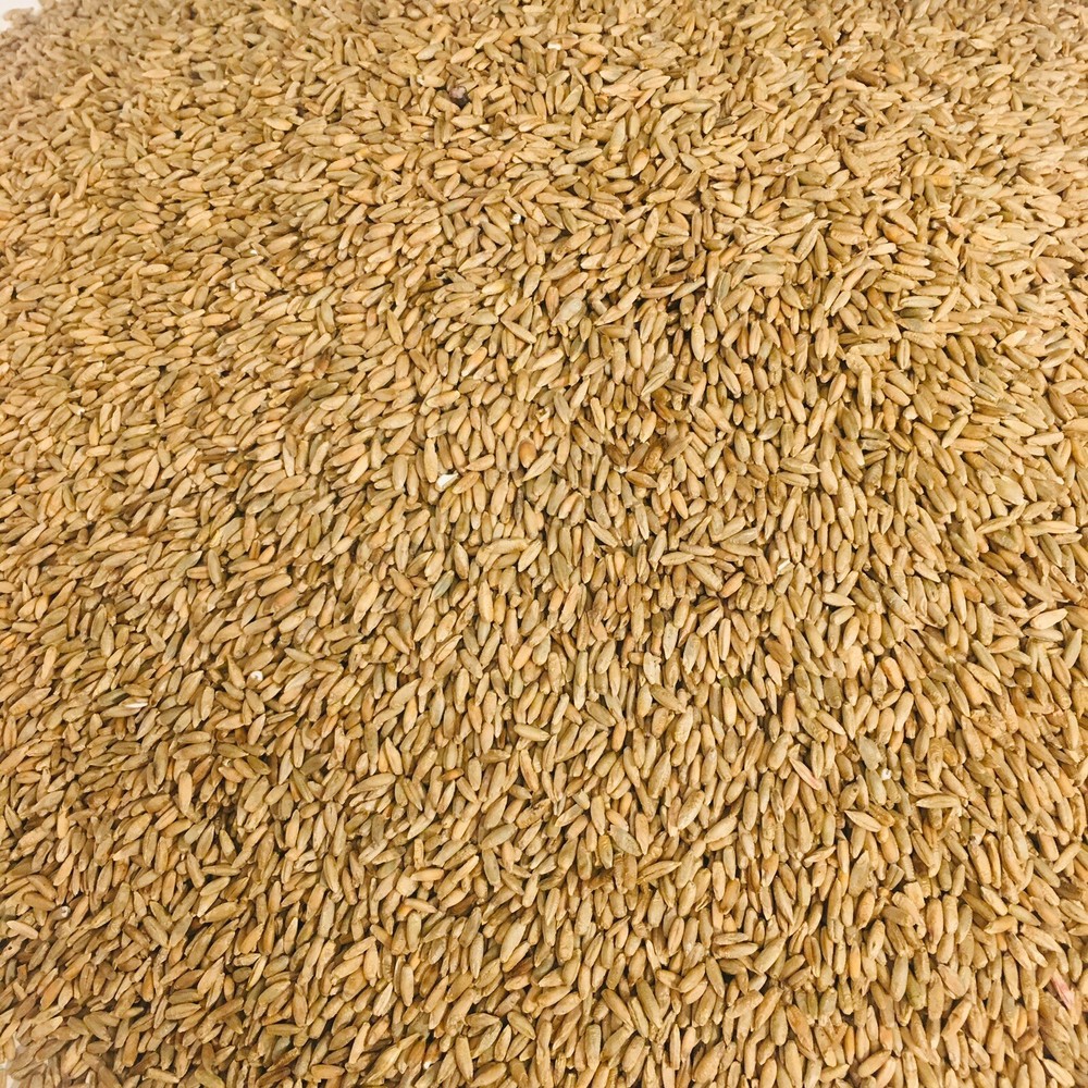 Rye Seed Whole Grain Kernels