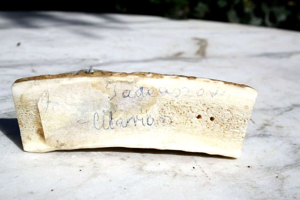 Vintage Antler Bone Thermometer Celsius with Turquoise Leaf