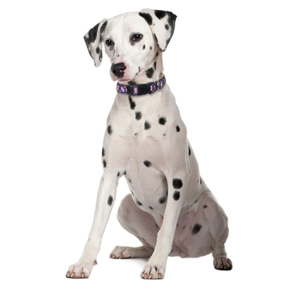 2 Pack Easter Dog Collar Adjustable Nylon Pet Collars Easter Egg Large Size