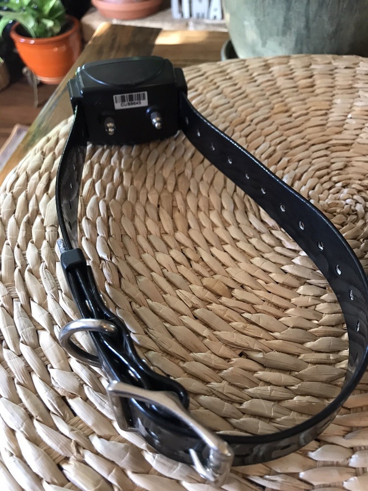 Numaxes C200-U Canicom Digital Advanced System Canine Dog Collar