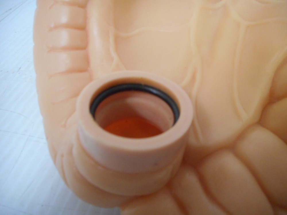 Medical Lab Simulation Manikin Intestinal Insert