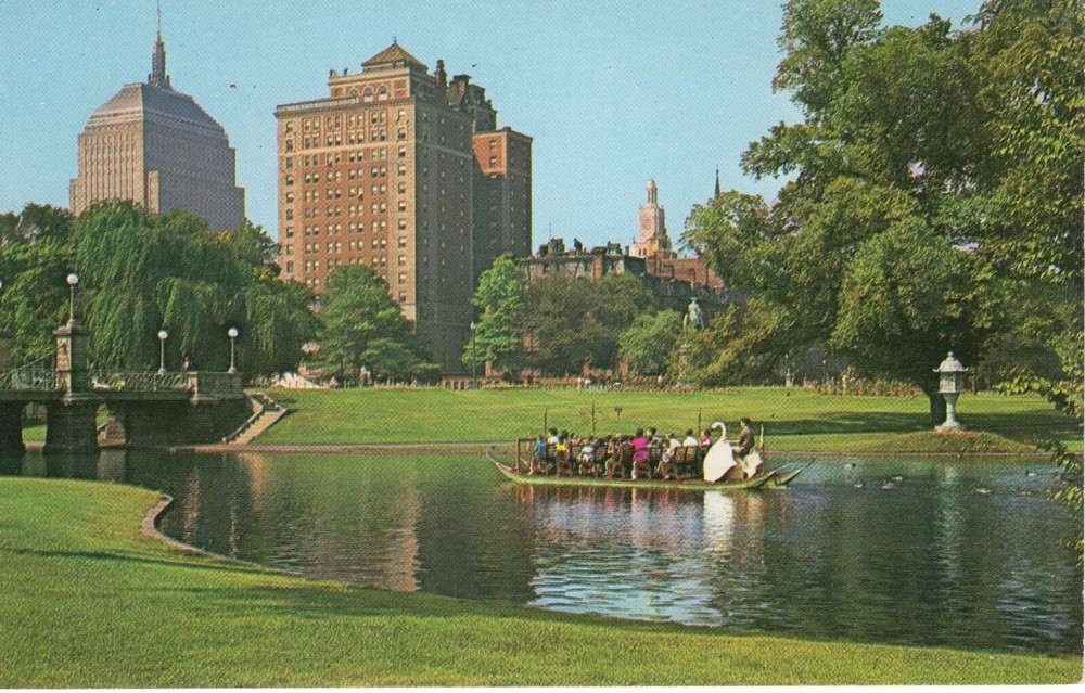BOSTON PUBLIC GARDEN - PC6147