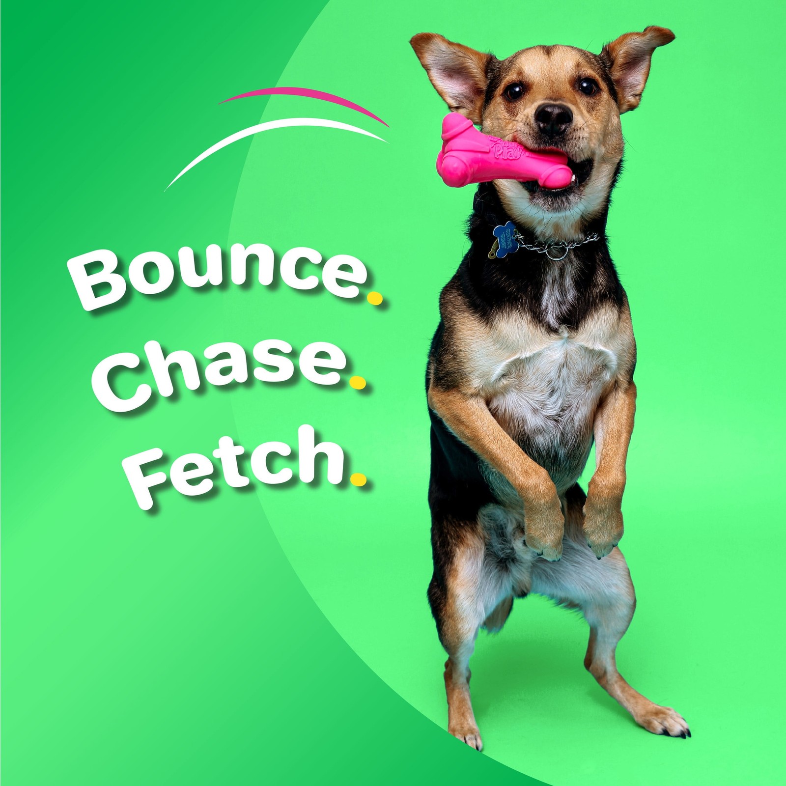 3 pack Dura Play Soft Dog Bone Toy Gentle Chewers Latex Assorted Colors