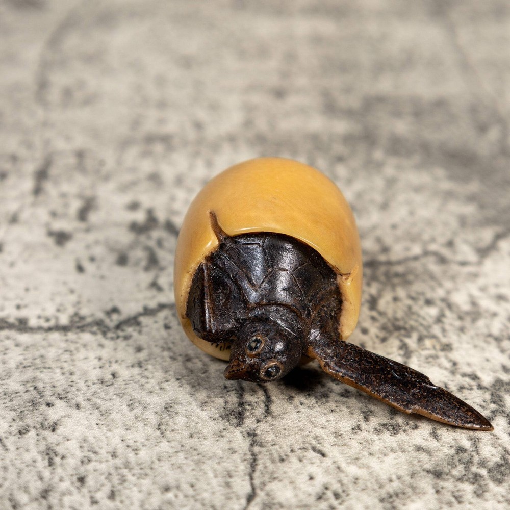 Sea Turtle Emerging From Egg Tagua Carving