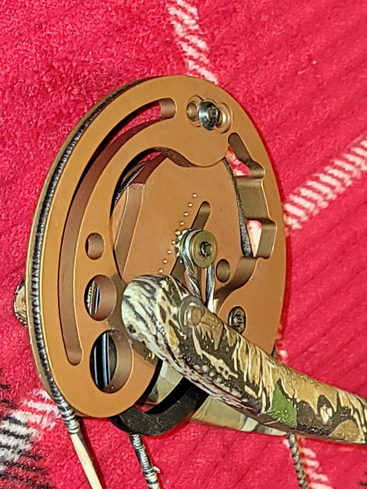 Fred Bear Code Compound Bow + Arrows and Case + QUICK shot Minty