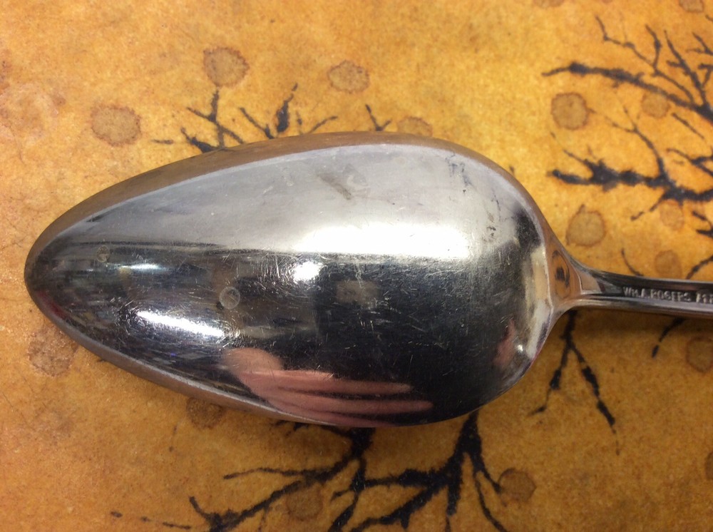 Vintage Wm. A. Rogers A1Plus Spoon Oneida LTD O2
