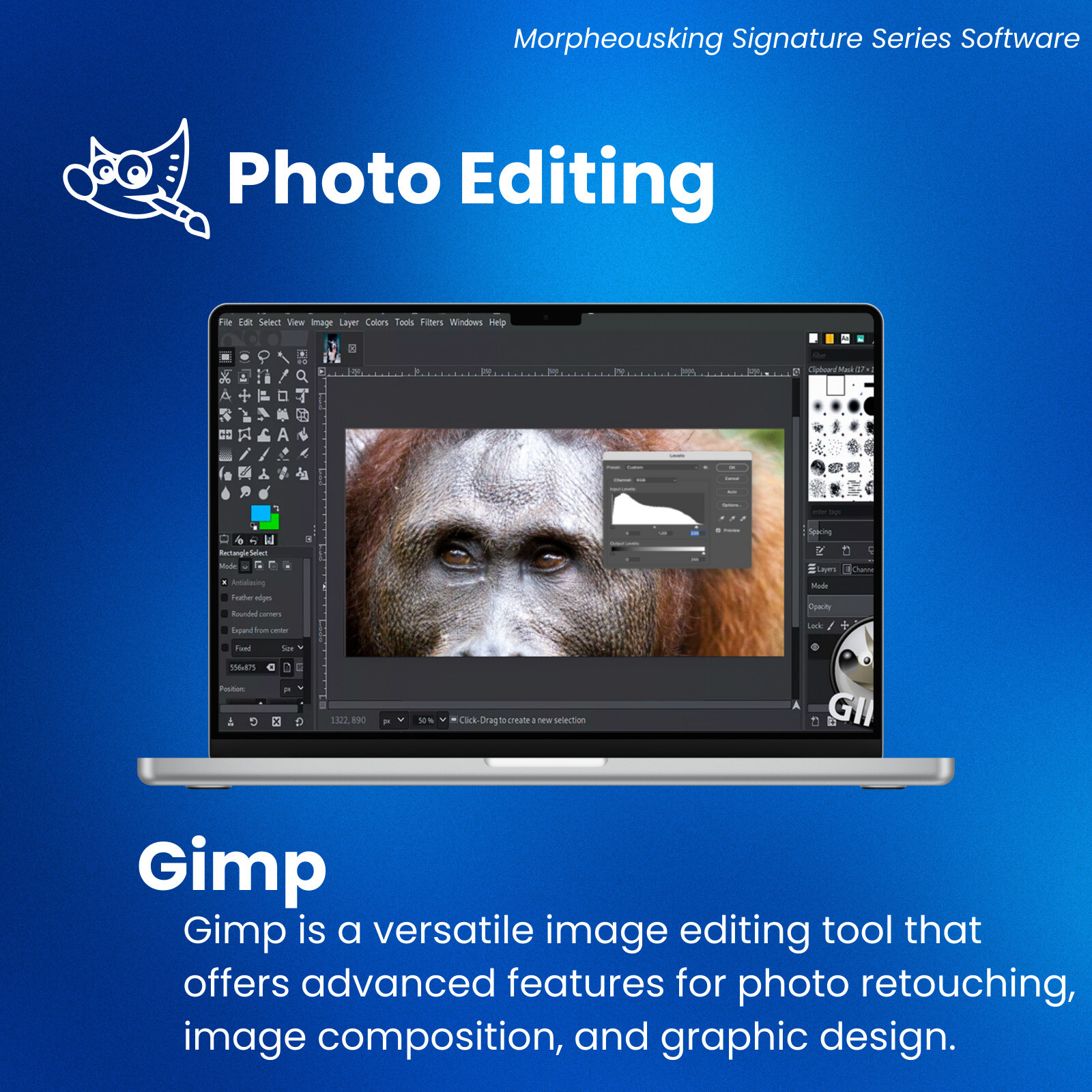 Ultimate Photo Editing Suite for Windows on DVD | Digital Image Editor Software