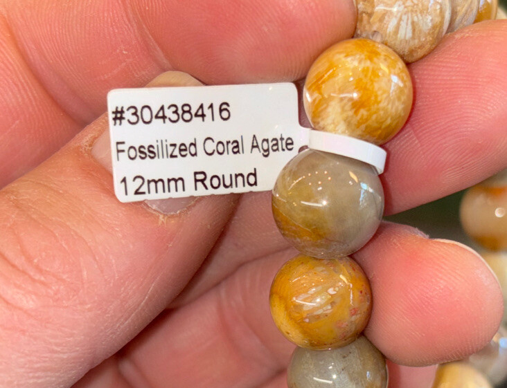 Fossilized Coral Bracelet 12 mm