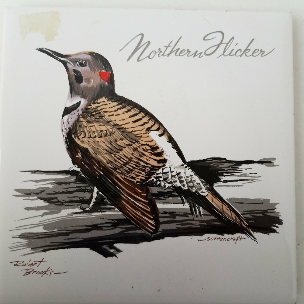 Northern Hicker by Robert Brooks Hanging Wall Decor