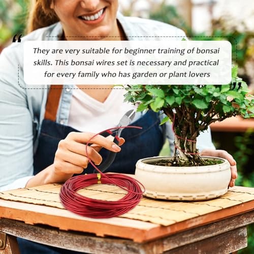 Tree Training Wire Kit - 5 Rolls (164ft),Bonsai Training Wires with Wire
