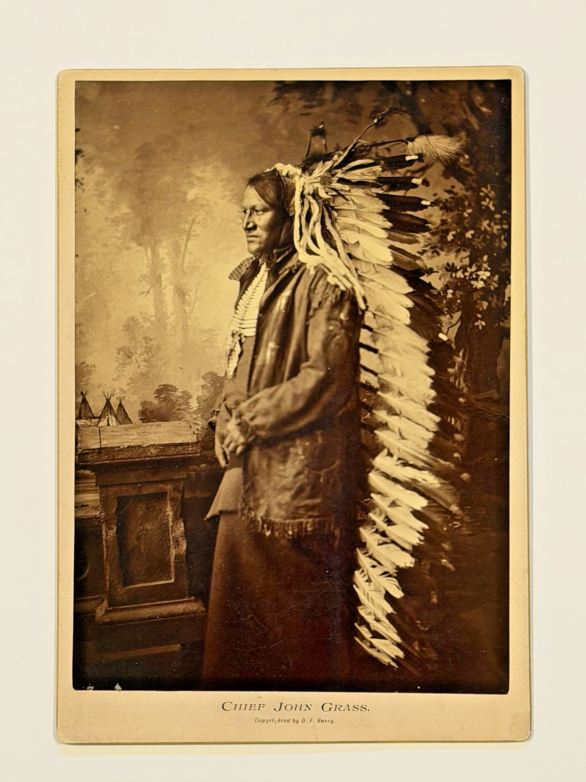 Antique Native American Indian Albumen Print "Chief John Grass" By: D. F. Barry