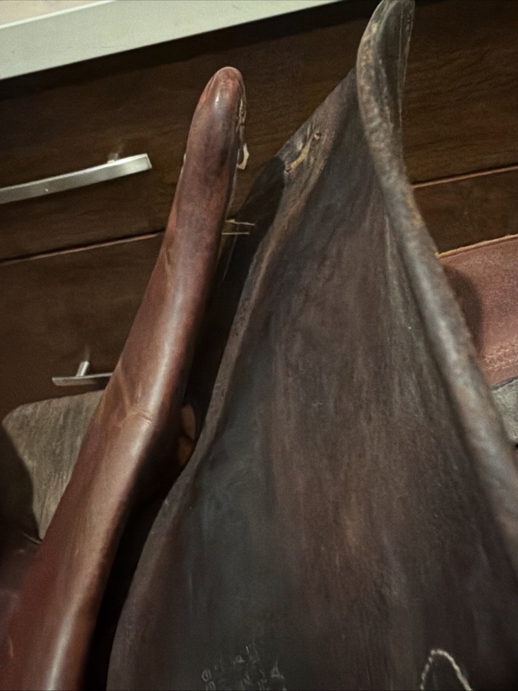 Devoucoux Biarritz Arcade Normale 16.5” 2A