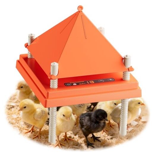 Chick Brooder Heating Plate with Anti-Stand Cone, 10" x 10" Brooder Heater for