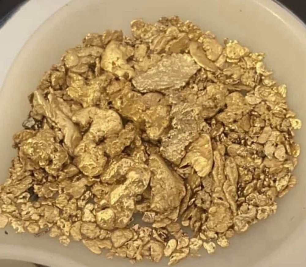 Gold Paydirt Loaded With Gold
