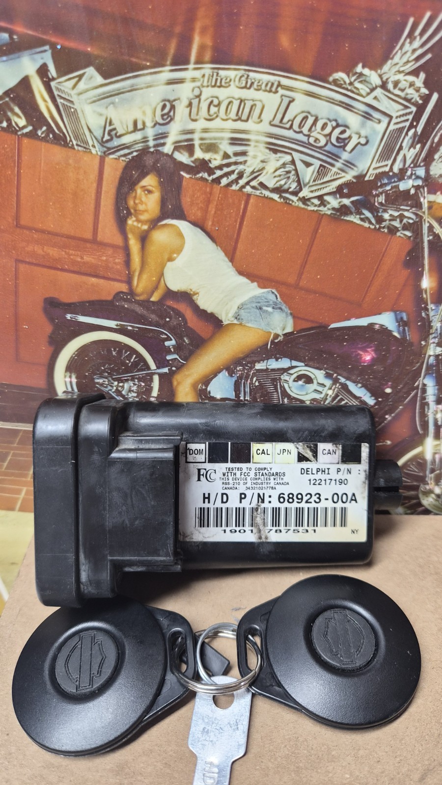 2002 Harley Davidson Security Control Unit TSSM ECU Module 68923-00A w New Fobs.