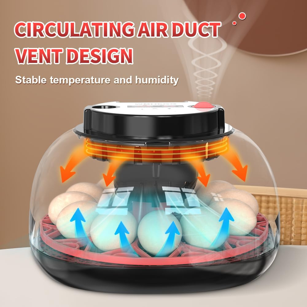 Incubators for Hatching Eggs，12 Egg Incubator,Egg Incubator with Automatic Egg T