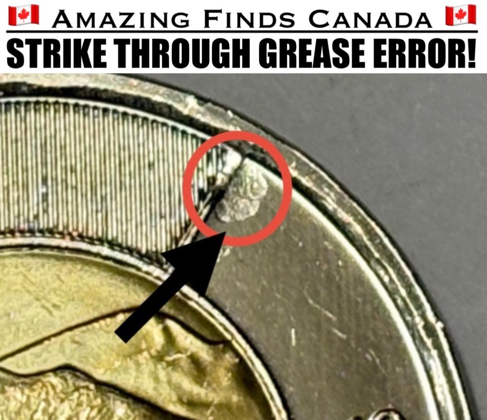 ERROR! 2023 Canada $2 Dollar Toonie! LARGE STRIKE THROUGH ERROR! UNCIRCULATED!