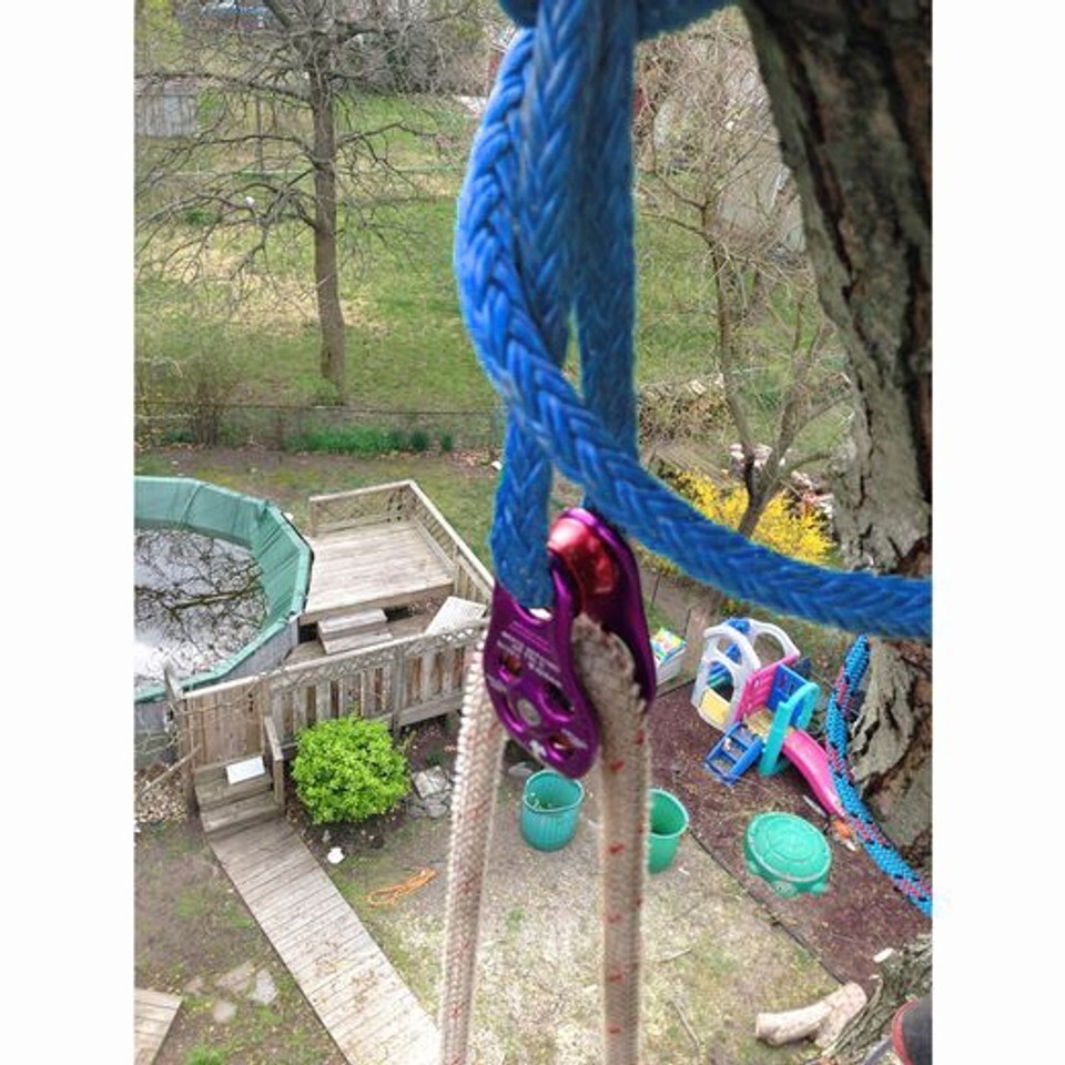 Rope Logic DMM Pinto Rig 1/2" Loopie Sling