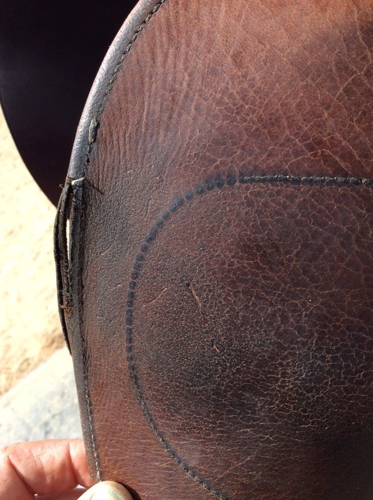 Antares Jumping Saddle, 16.5"