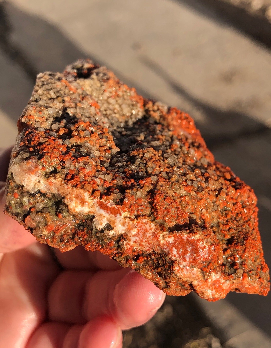 Utah Grape Agate 155g Rough Specimen Red Botryoidal Chalcedony Clear White