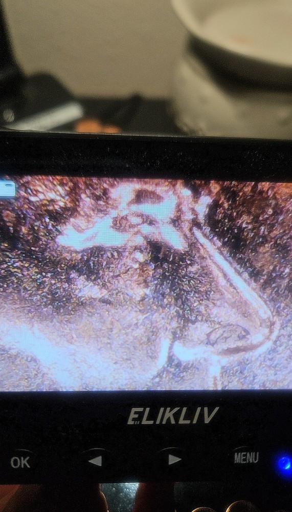 2024 P DDO/DDR Lincoln Cent