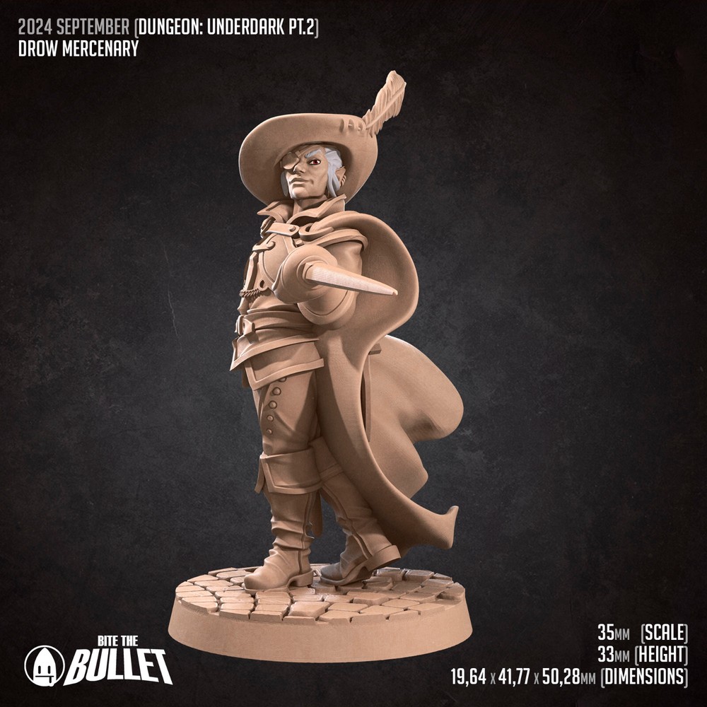 Drow Mercenary - Rogue / Fighter - Bite the Bullet - Dungeons and Dragons
