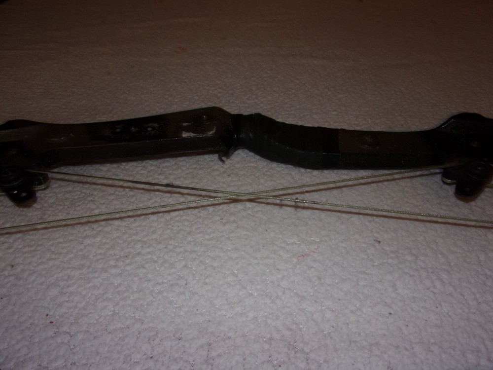 Vintage Bear Whitetail Hunter Compound Bow