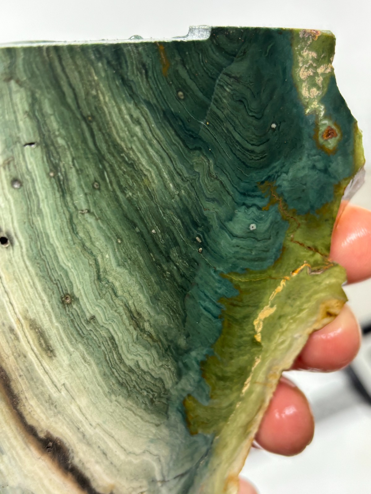 Gary Green Caldera Freedom Jasper Slab Cabbing Lapidary Combo Ship Avail