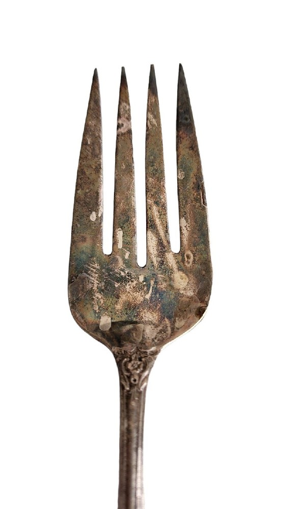 WM Rogers Grand Elegance Extraplate Flatware International Silver Serving Fork