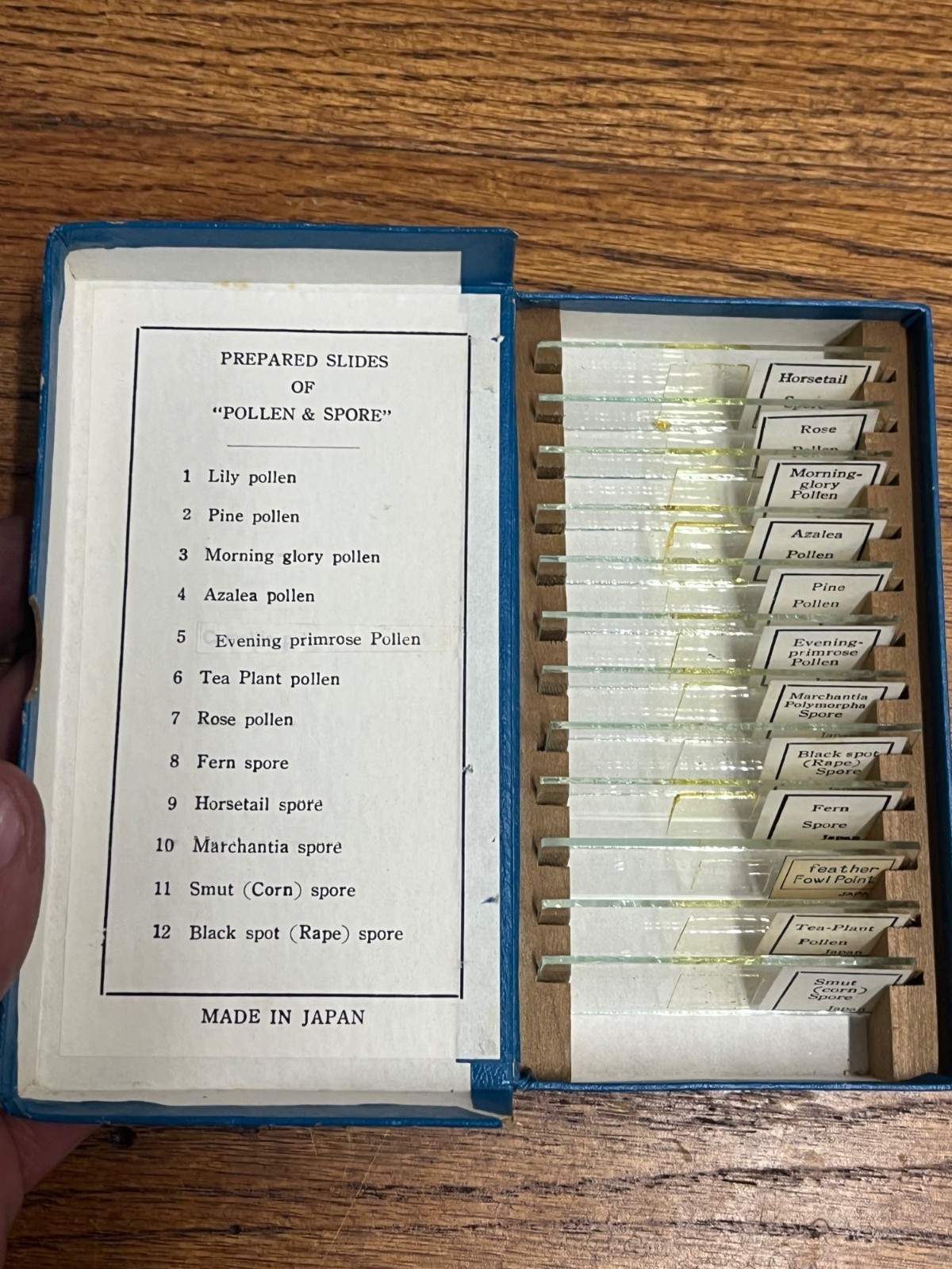 Vintage Tasco Microscope Slides Scientific Homeschool Lot Animals Plants Fibres