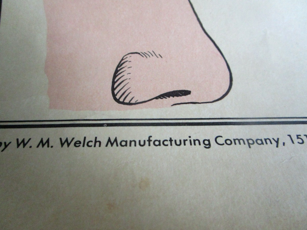 1955 Optical Instruments School Teaching Chart. W.M. Welch Co