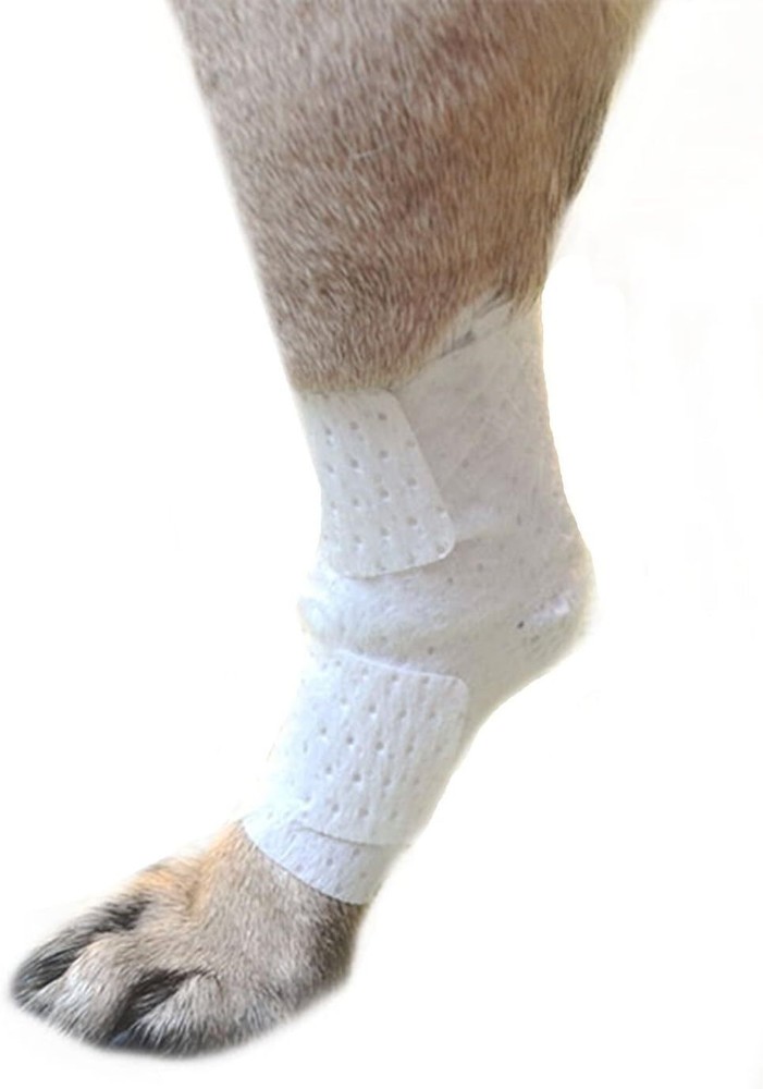 PawFlex Bandages for Pets - Joint Universal / Medimitt / Basic / Cover / Sleeve