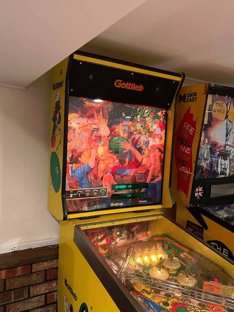 CACTUS JACK PINBALL MACHINE