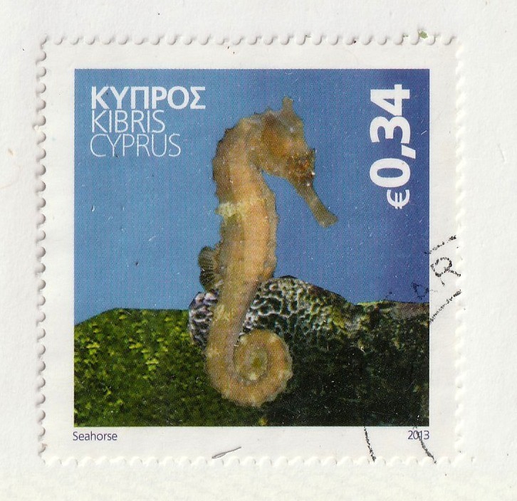 Cyprus        1092        used