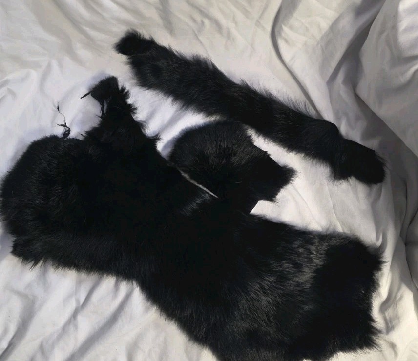 Rabbit Fur Pelts X 9 Rare Patterns 🔥 Georgous 🔥